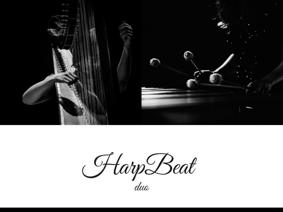 HarpBeat duo